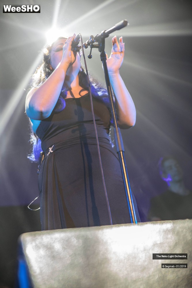 5/33 photos du spectacle The Neko Light Orchestra