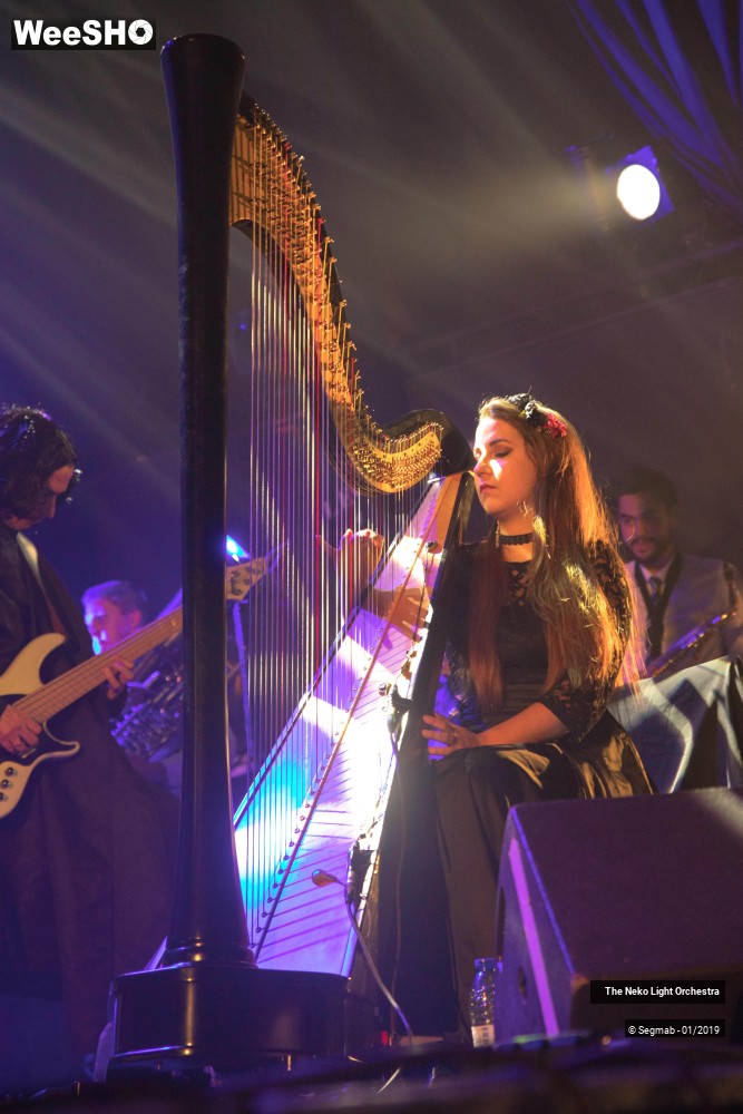 7/33 photos du spectacle The Neko Light Orchestra
