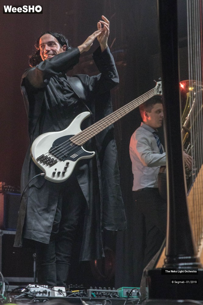 9/33 photos du spectacle The Neko Light Orchestra