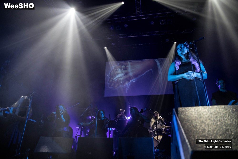 12/33 photos du spectacle The Neko Light Orchestra