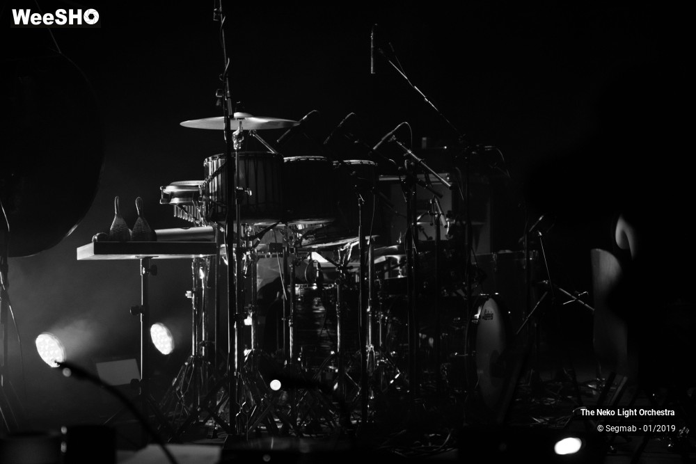 14/33 photos du spectacle The Neko Light Orchestra