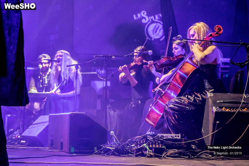 15/33 photos du spectacle The Neko Light Orchestra