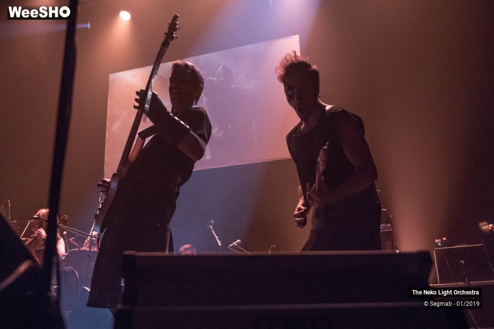 17/33 photos du spectacle The Neko Light Orchestra