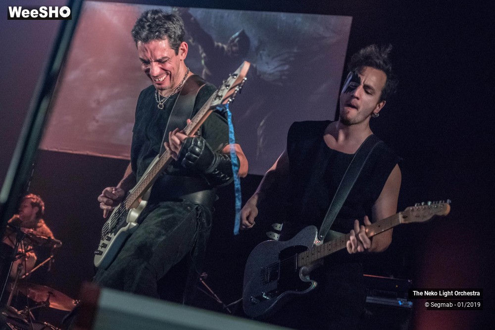22/33 photos du spectacle The Neko Light Orchestra
