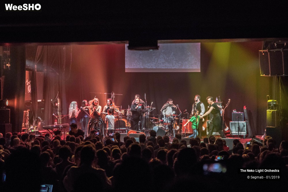 24/33 photos du spectacle The Neko Light Orchestra