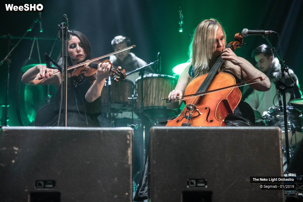 27/33 photos du spectacle The Neko Light Orchestra