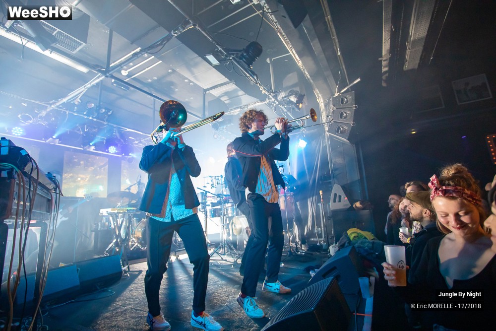 5/50 photos du spectacle Jungle By Night