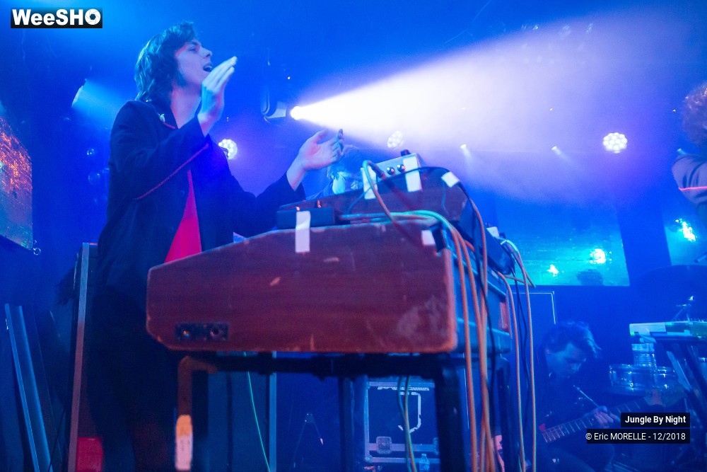 6/50 photos du spectacle Jungle By Night