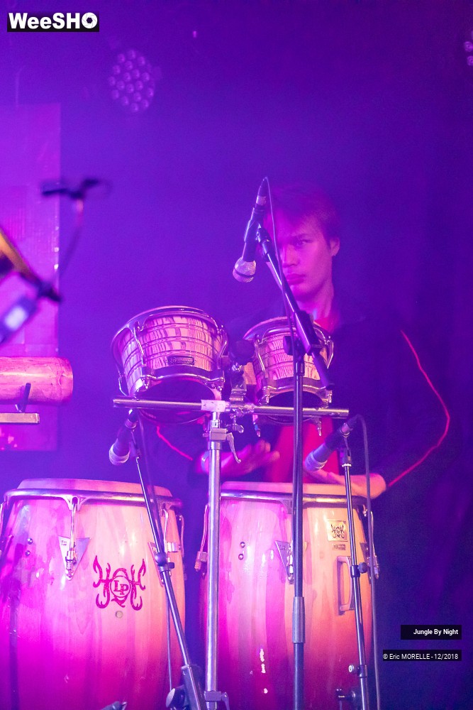 7/50 photos du spectacle Jungle By Night