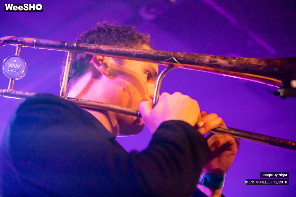 19/50 photos du spectacle Jungle By Night