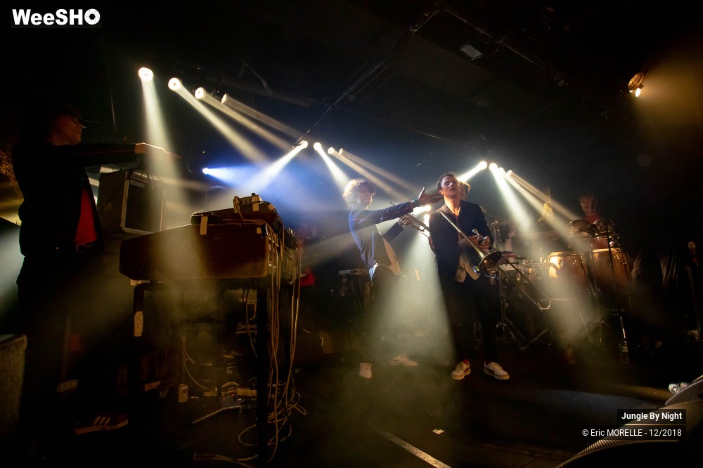 21/50 photos du spectacle Jungle By Night