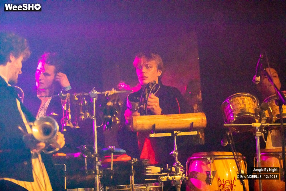 24/50 photos du spectacle Jungle By Night