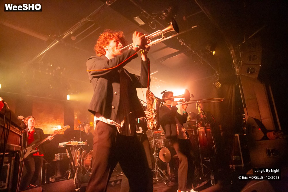 28/50 photos du spectacle Jungle By Night