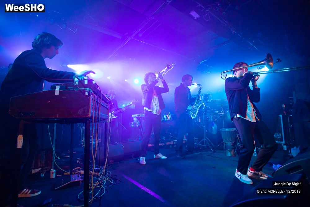 29/50 photos du spectacle Jungle By Night