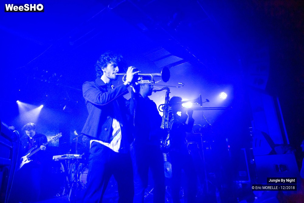 36/50 photos du spectacle Jungle By Night