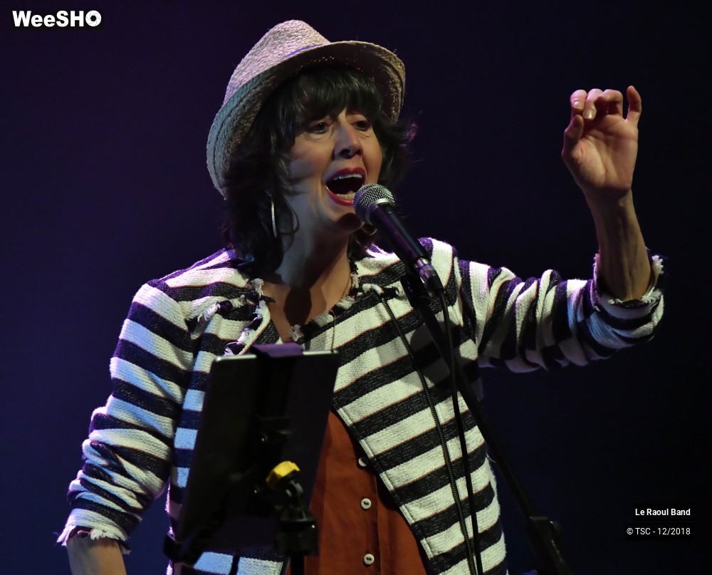 14/30 photos du spectacle Le Raoul Band