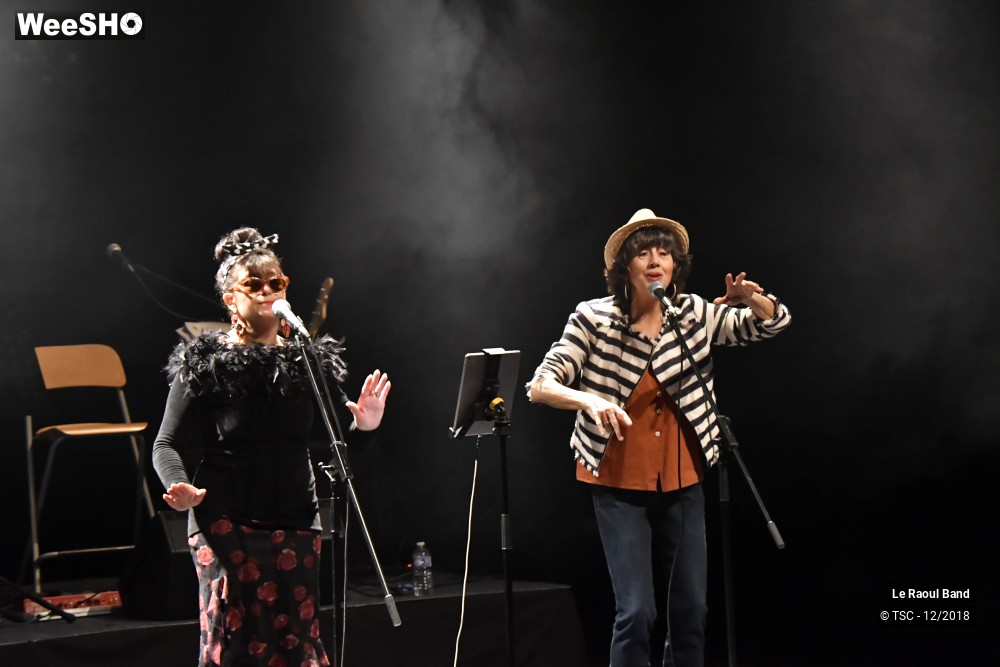 15/30 photos du spectacle Le Raoul Band