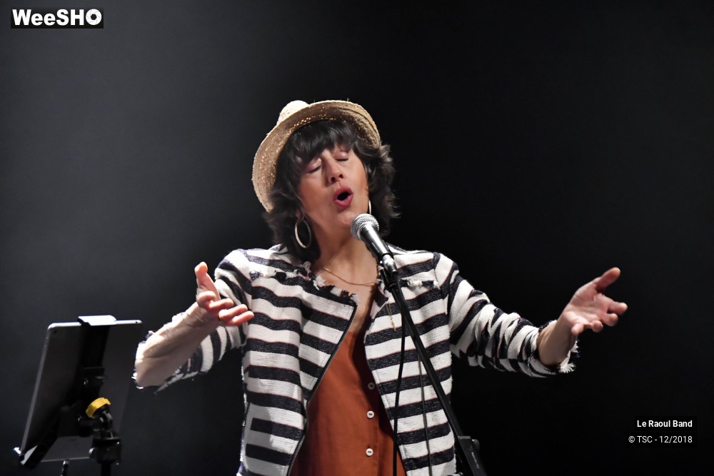 19/30 photos du spectacle Le Raoul Band