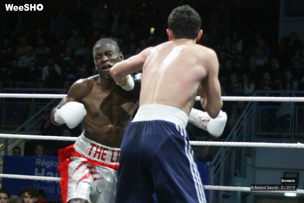 18/50 photos du spectacle Les combats Pro