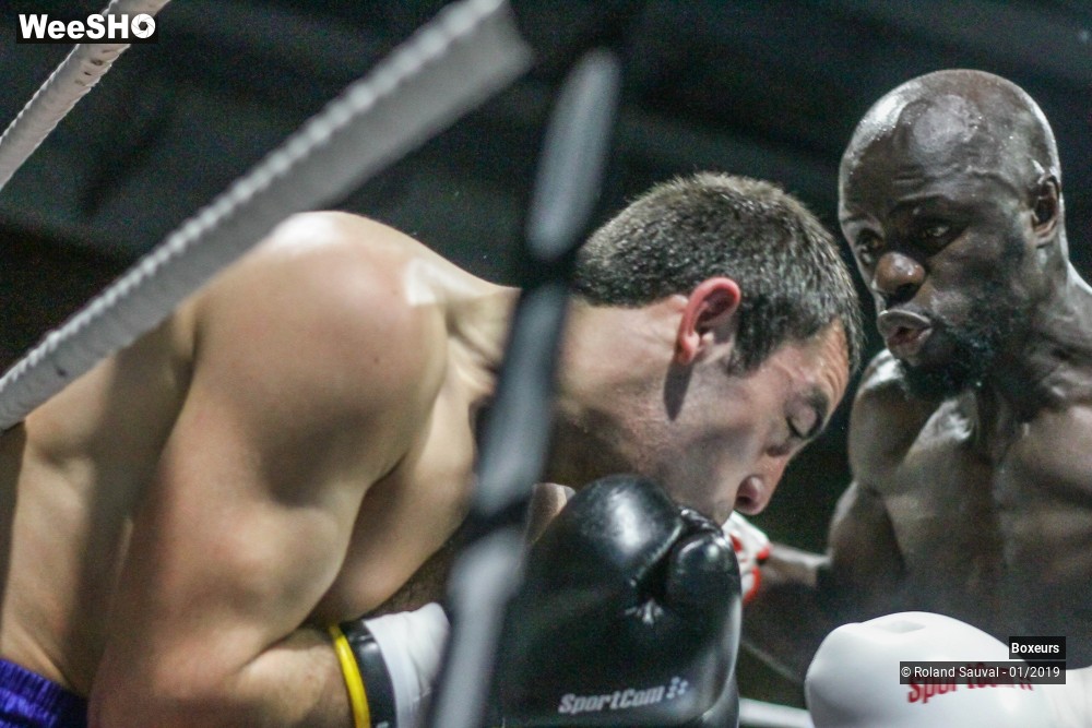 24/50 photos du spectacle Les combats Pro