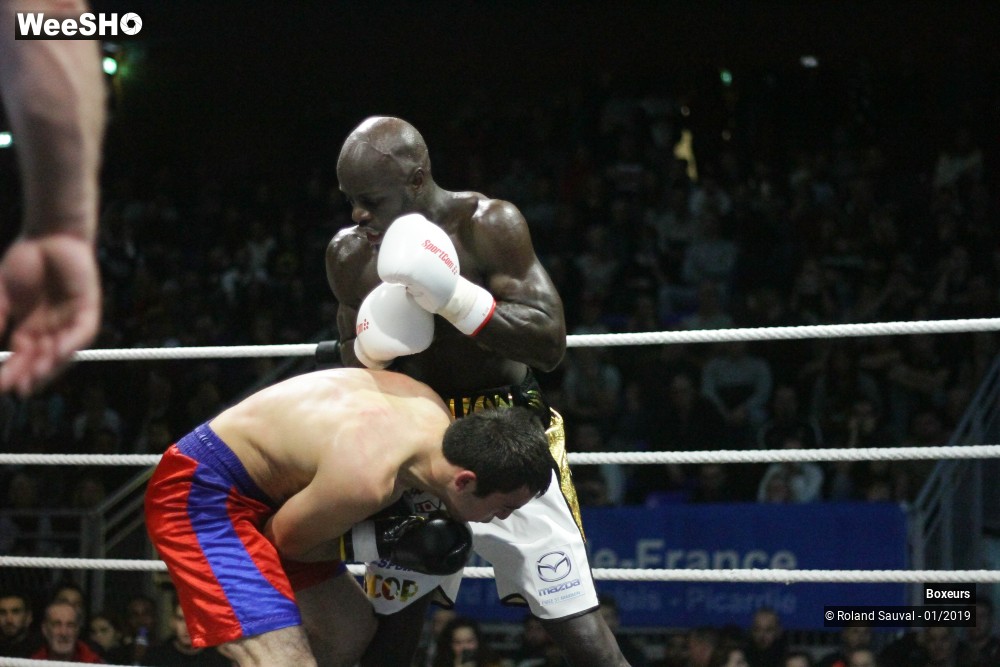44/50 photos du spectacle Les combats Pro