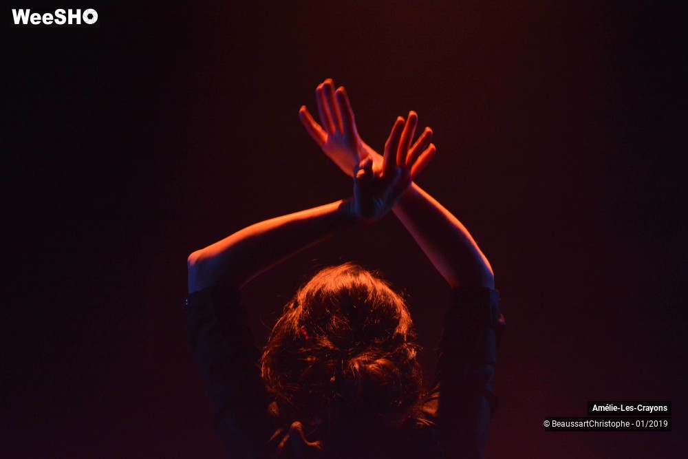 27/49 photos du spectacle Amélie Les Crayons