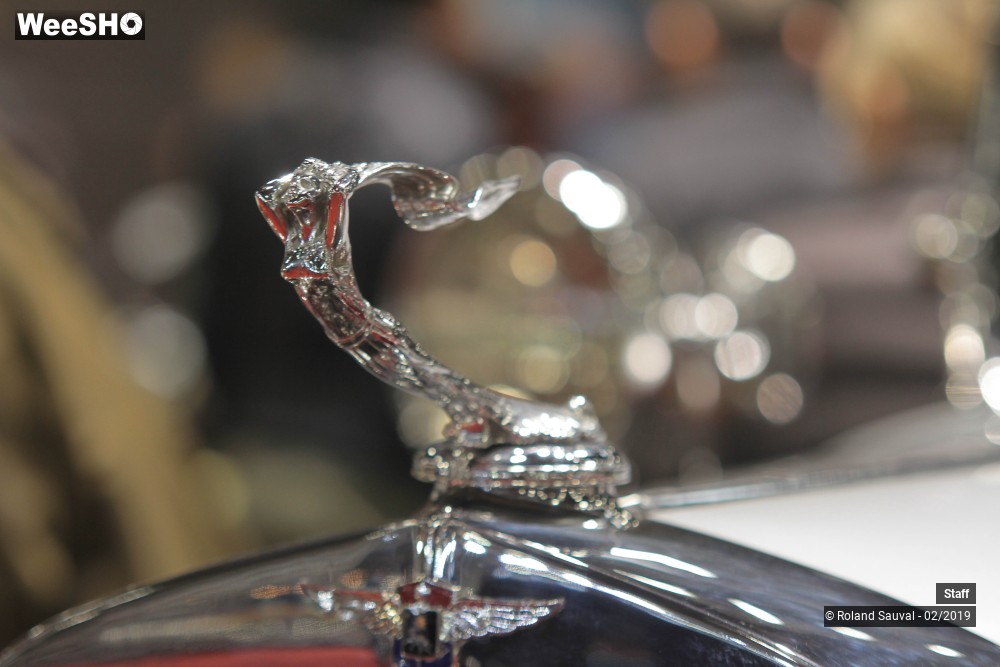 2/51 photos du spectacle Retromobile 2019