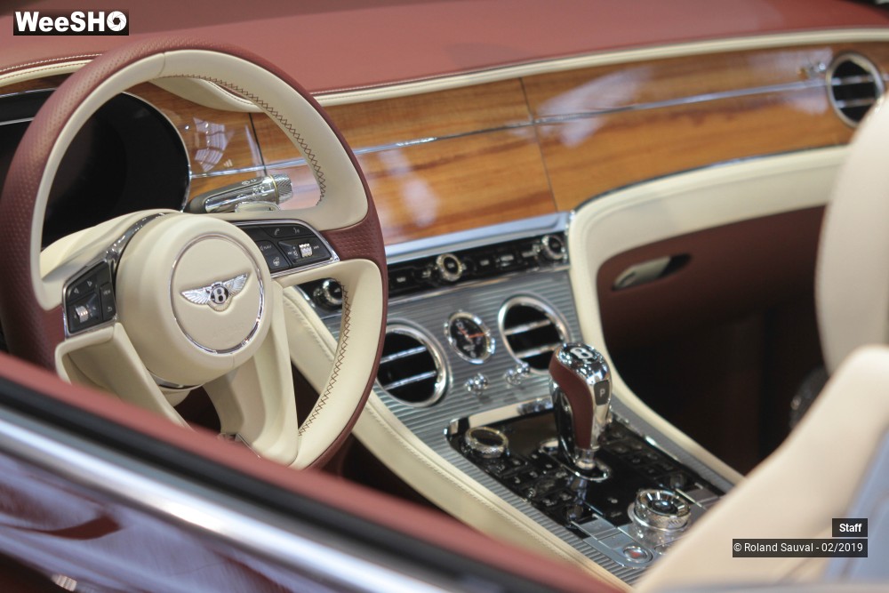 13/51 photos du spectacle Retromobile 2019