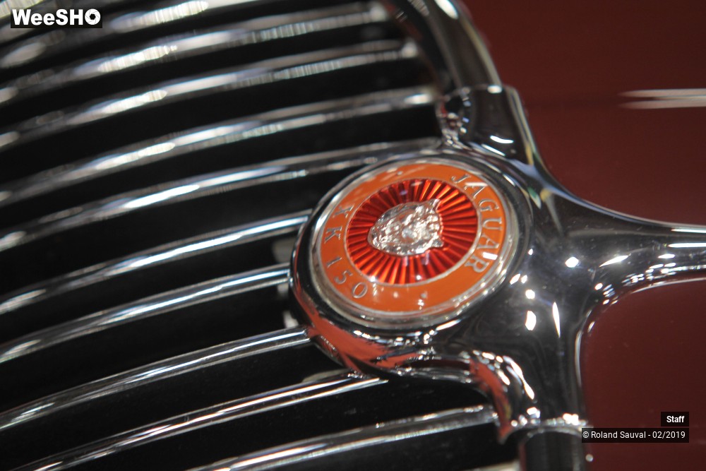 45/51 photos du spectacle Retromobile 2019