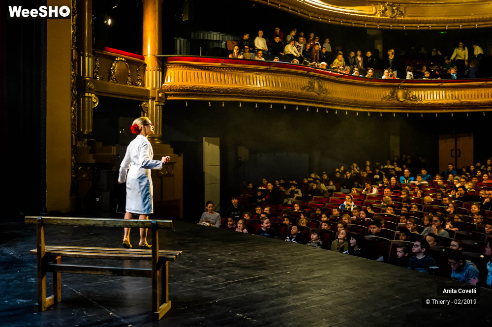 2/43 photos du spectacle Le Château des émotions