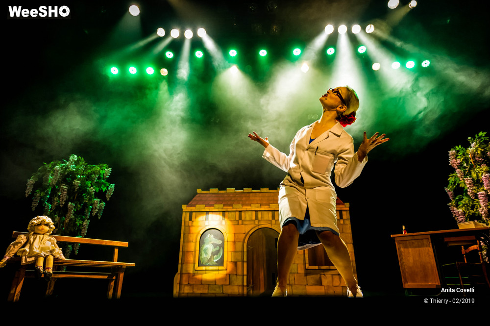 8/43 photos du spectacle Le Château des émotions