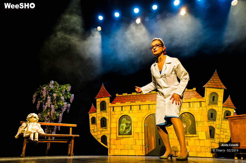 11/43 photos du spectacle Le Château des émotions
