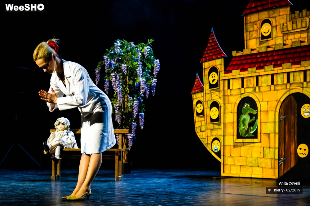19/43 photos du spectacle Le Château des émotions