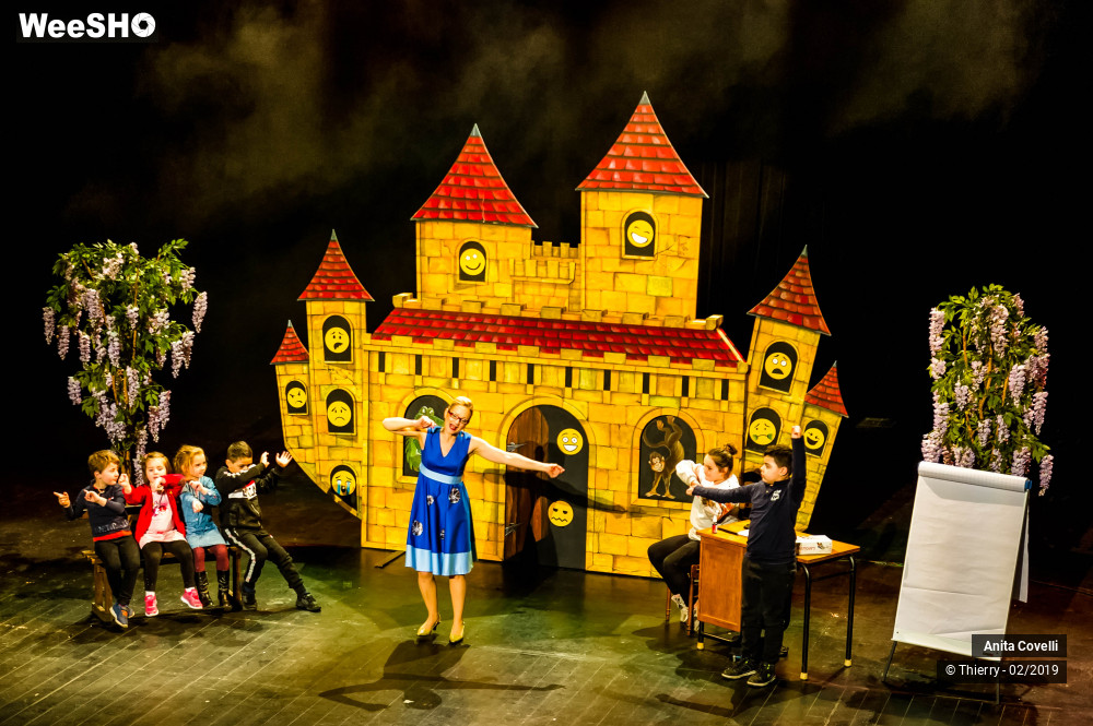 25/43 photos du spectacle Le Château des émotions