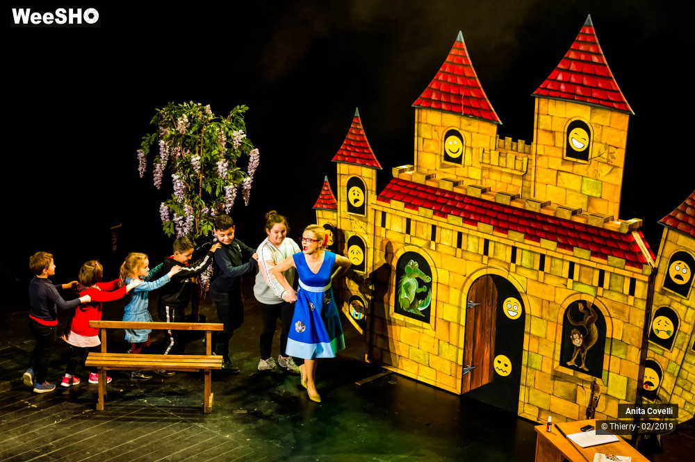26/43 photos du spectacle Le Château des émotions