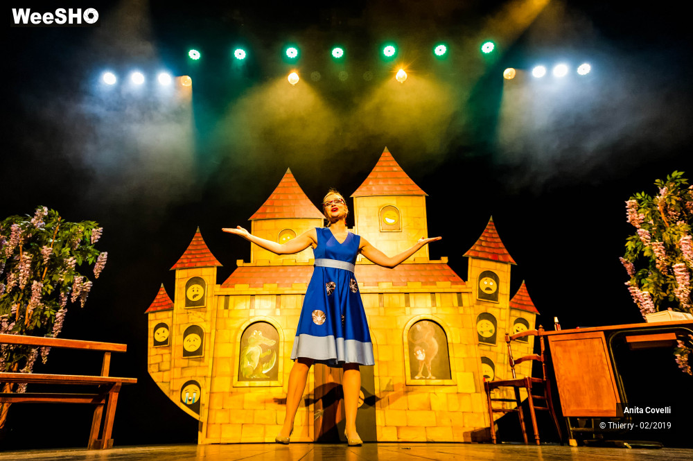 27/43 photos du spectacle Le Château des émotions