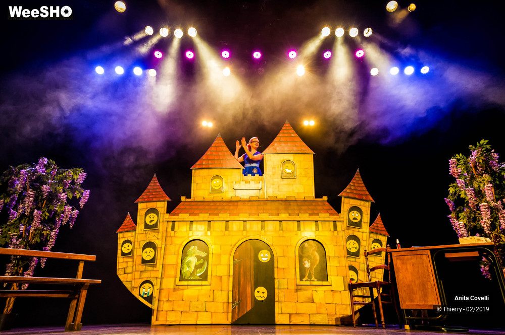 29/43 photos du spectacle Le Château des émotions