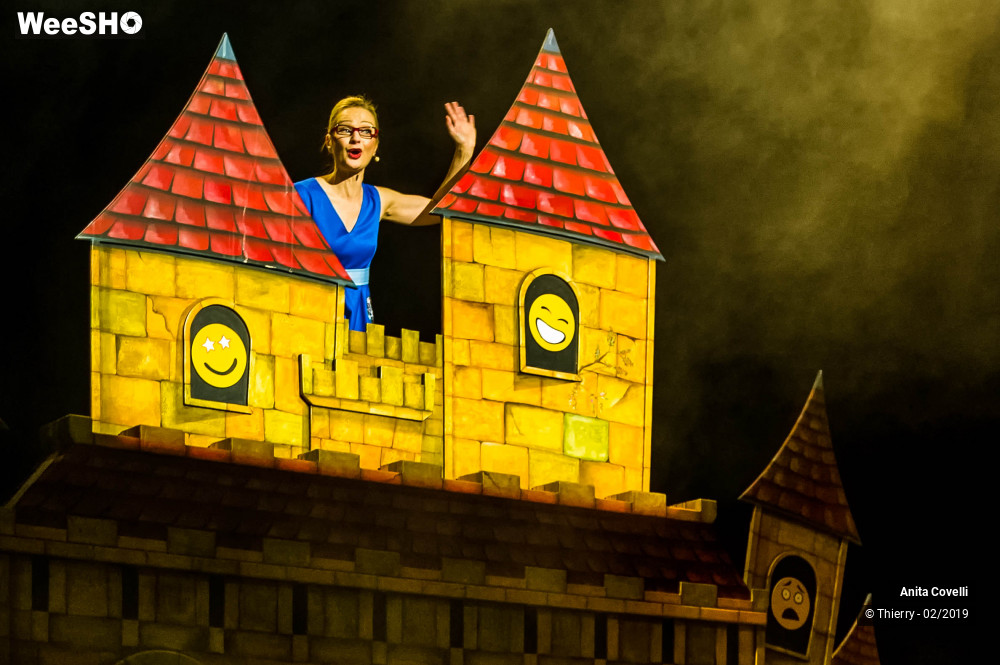 30/43 photos du spectacle Le Château des émotions