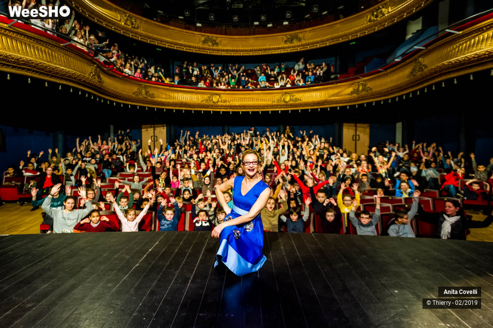 31/43 photos du spectacle Le Château des émotions