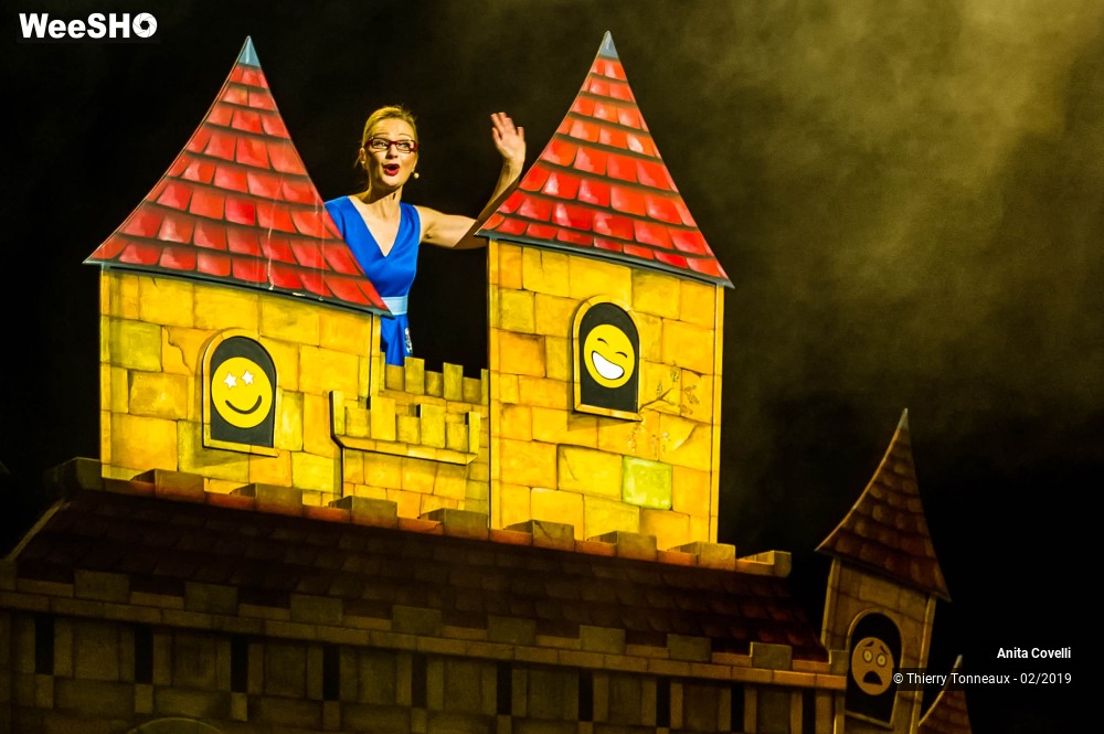 40/43 photos du spectacle Le Château des émotions