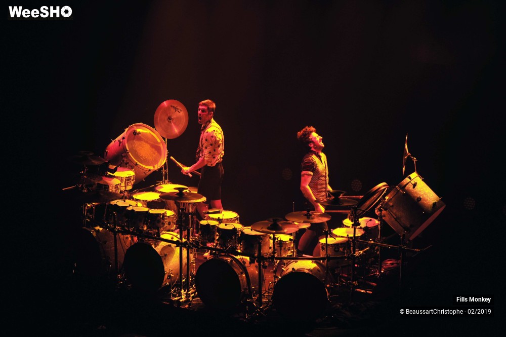 33/56 photos du spectacle Fills Monkey