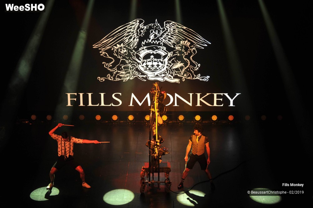 49/56 photos du spectacle Fills Monkey
