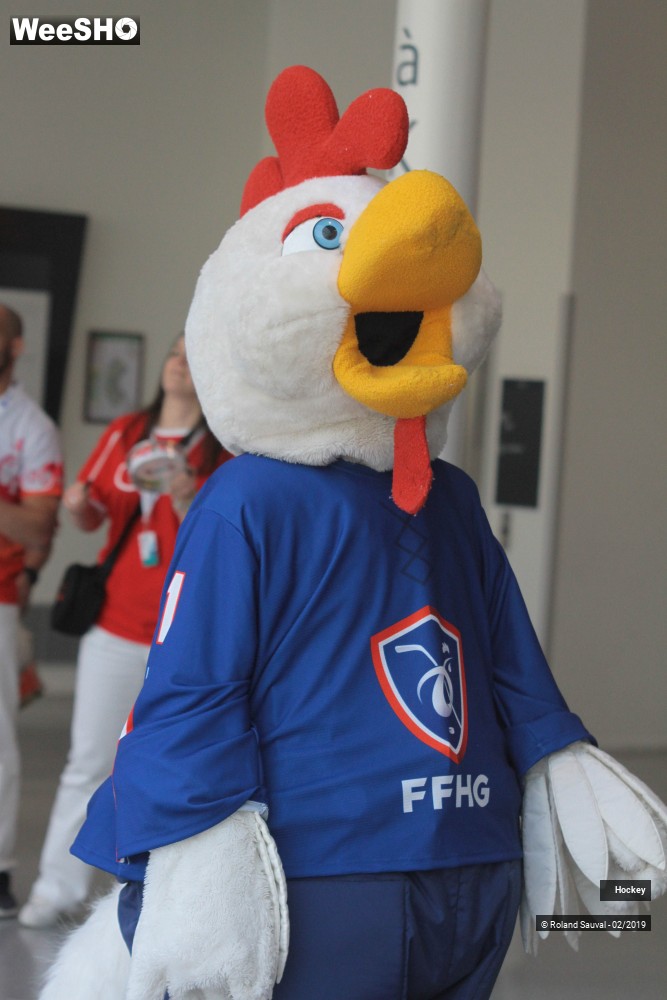 5/50 photos du spectacle L ambiance et les supporters