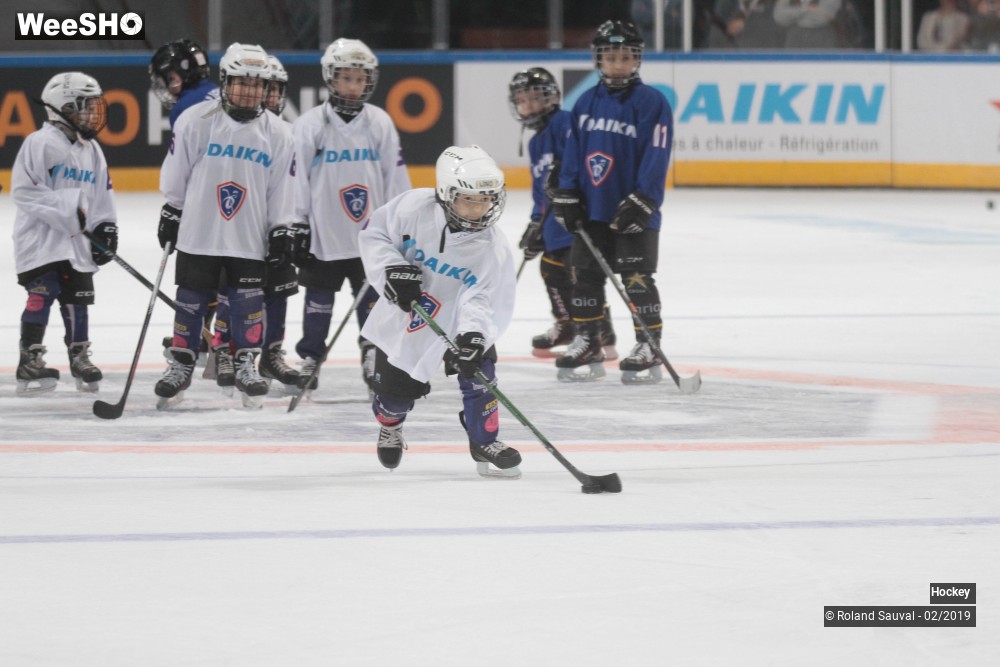 37/50 photos du spectacle L ambiance et les supporters