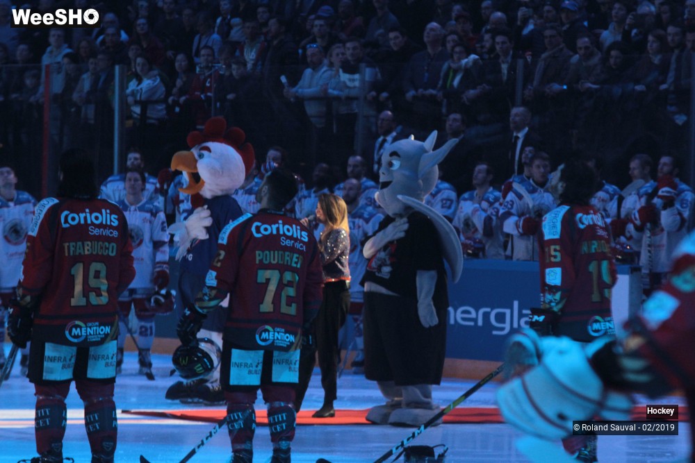 12/40 photos du spectacle Gothique Amiens - Lions de Lyon