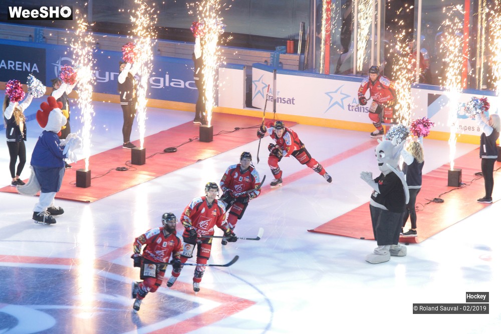 35/40 photos du spectacle Gothique Amiens - Lions de Lyon