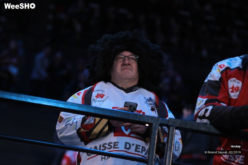 37/40 photos du spectacle Gothique Amiens - Lions de Lyon