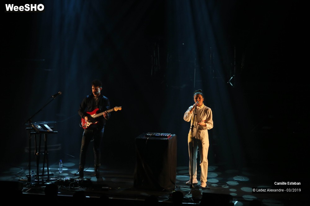 5/10 photos du spectacle Camille Esteban