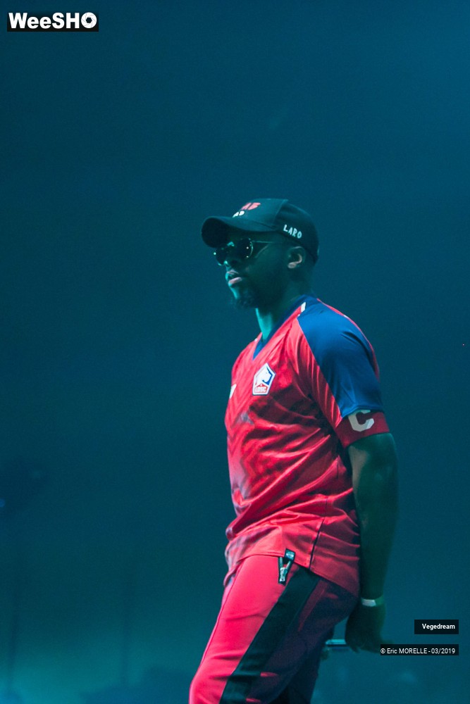 10/50 photos du spectacle Vegedream & la synesia