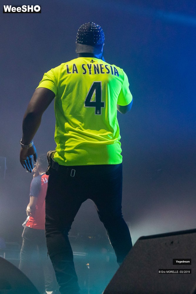 11/50 photos du spectacle Vegedream & la synesia